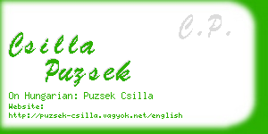 csilla puzsek business card